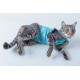 Haina Postoperatorie pentru Pisici DRY LIGHT SUPREME CAT Verde nr. 4 (5–7 kg), Pet Med